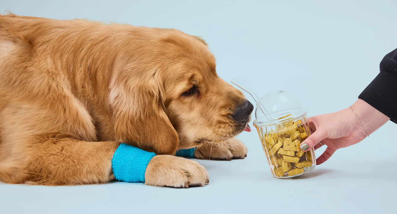 Simple Treats, Happy Tails